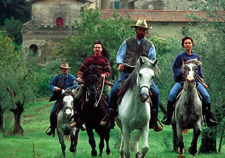 Italy-Tuscany-Western Riding in Tuscany